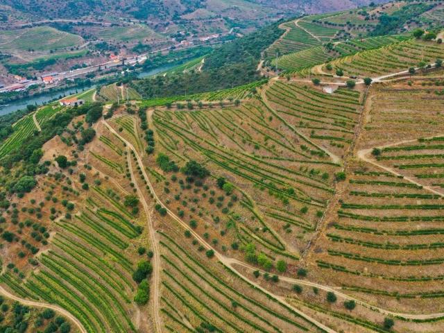 Terreno venda em Nagoselo Do Douro, Viseu