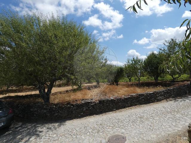 Terreno venda em Nagoselo Do Douro, Viseu
