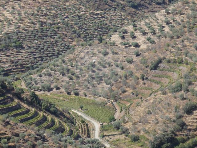 Terreno venda em Nagoselo Do Douro, Viseu
