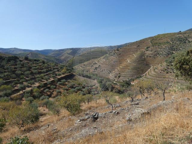 Terreno venda em Nagoselo Do Douro, Viseu