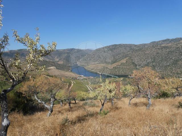 Terreno venda em Nagoselo Do Douro, Viseu