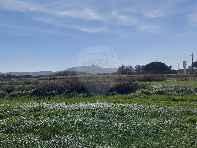 Terreno venda em Ral, Terrugem