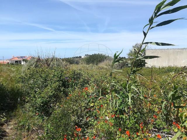 Terreno venda em Fontanelas, São João das Lampas
