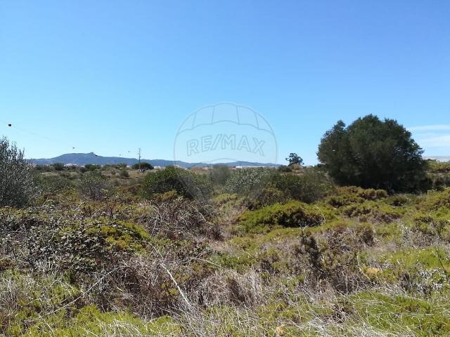 Terreno venda em Carne Assada, Terrugem