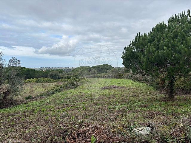Terreno venda em Odrinhas, São João das Lampas