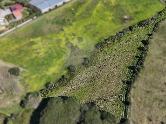 Terreno venda em São João das Lampas, Lisboa