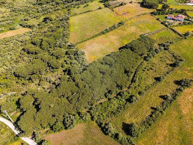 Terreno venda em Sácario, São João das Lampas