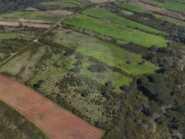 Terreno venda em Fontanelas, São João das Lampas