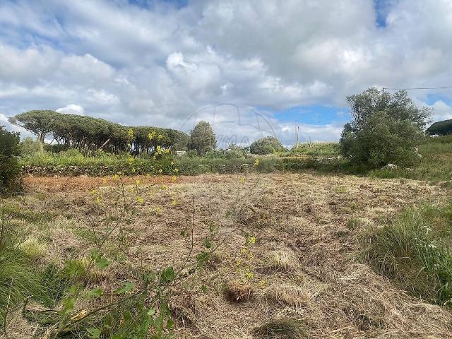 Terreno venda em São João das Lampas, Lisboa