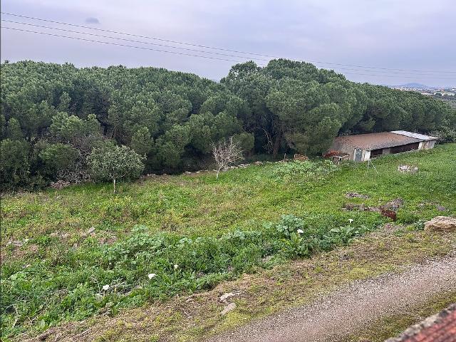 Terreno venda em Alcolombal, Terrugem