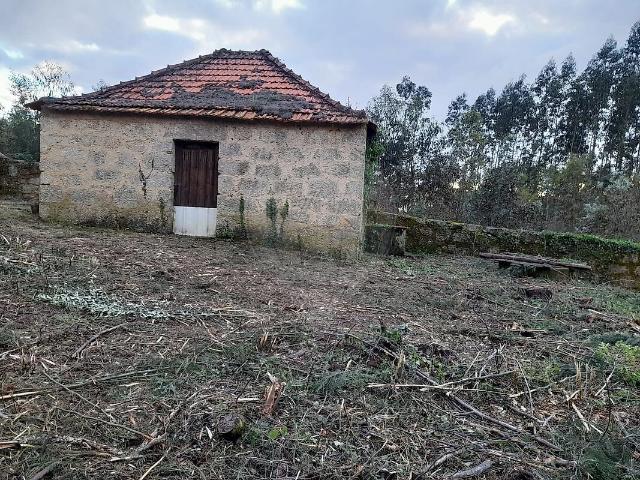 Terreno venda em São João de Areias, Santa Comba Dão