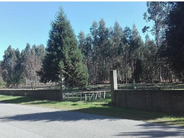 Terreno venda em Parada, Carregal do Sal