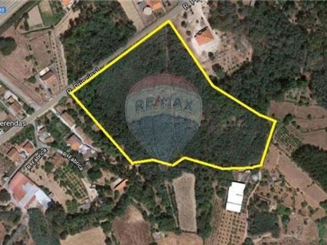 Terreno venda em Casas Novas, Santa Comba Dão
