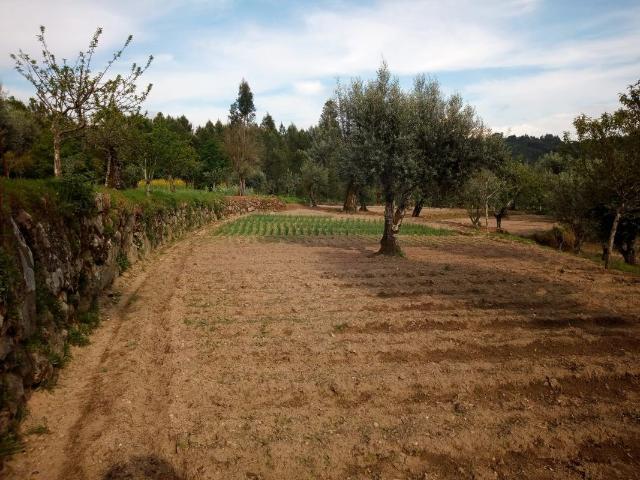 Terreno venda em São João de Lourosa, Viseu