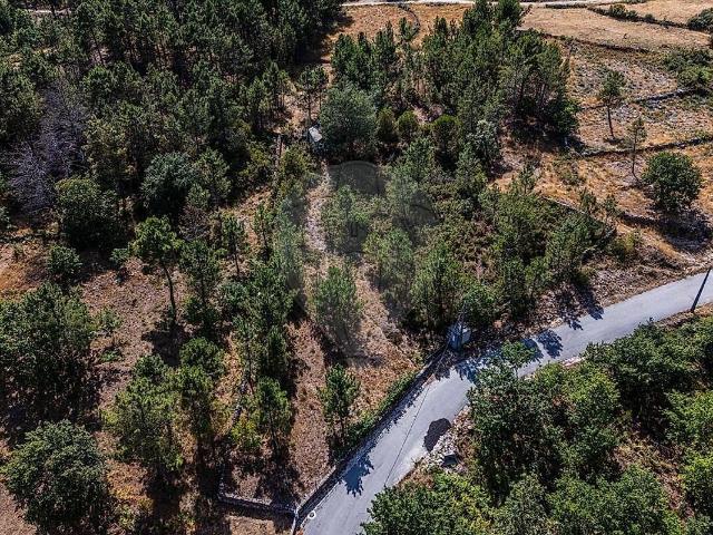 Terreno venda em São Joaninho, Castro Daire