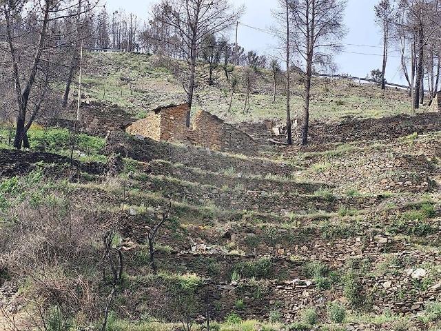 Terreno venda em São Jorge da Beira, Covilhã