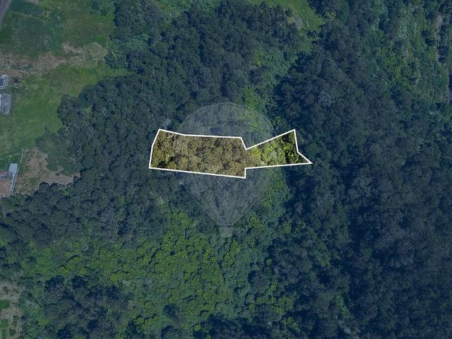 Terreno venda em São Jorge, Santana