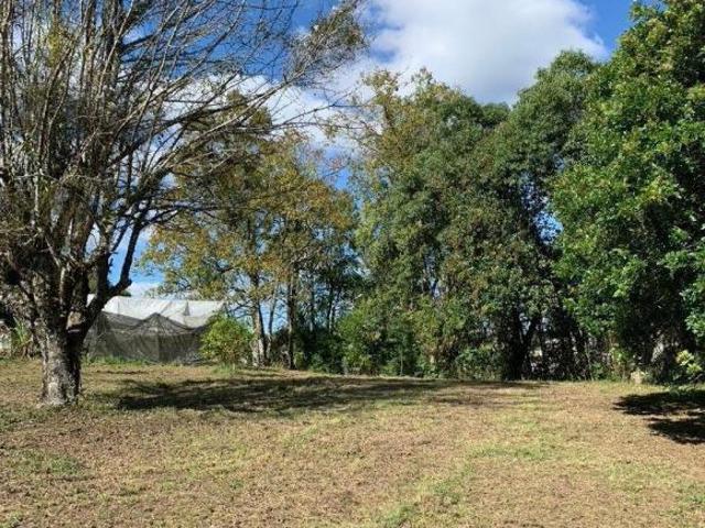 Terreno venda em Região Geográfica Imediata de Caxias do Sul, Flores da Cunha