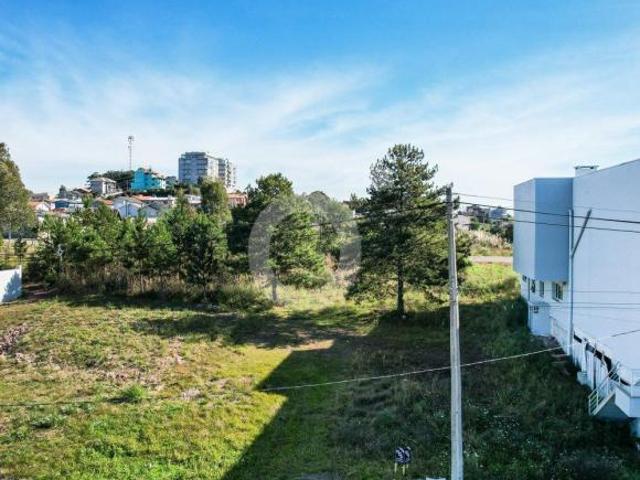 Terreno venda em Região Geográfica Imediata de Caxias do Sul, Flores da Cunha