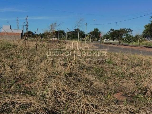 Terreno venda em São José do Rio Preto