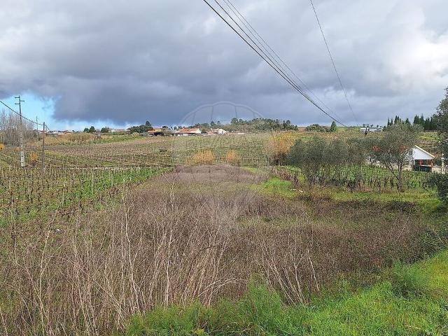 Terreno venda em São Lourenço do Bairro, Anadia