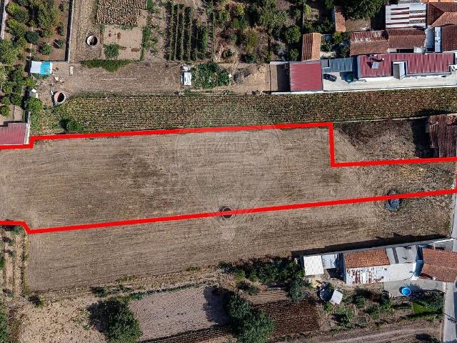 Terreno venda em São Lourenço do Bairro, Anadia