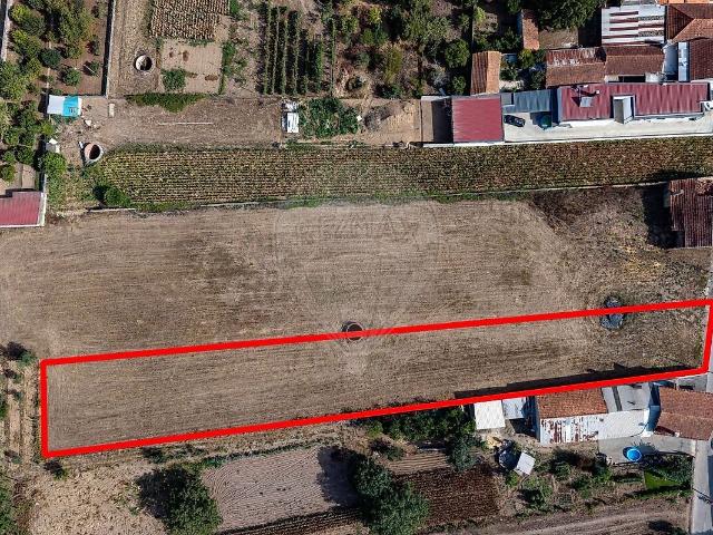 Terreno venda em São Lourenço do Bairro, Anadia