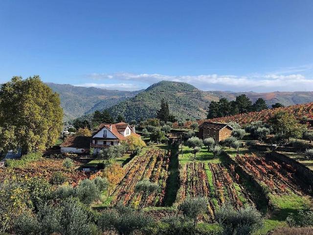 Terreno venda em São Mamede de Ribatua, Alijó