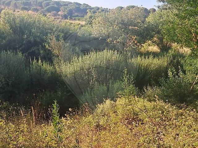 Terreno venda em Monte das Lamas, São Marcos da Serra