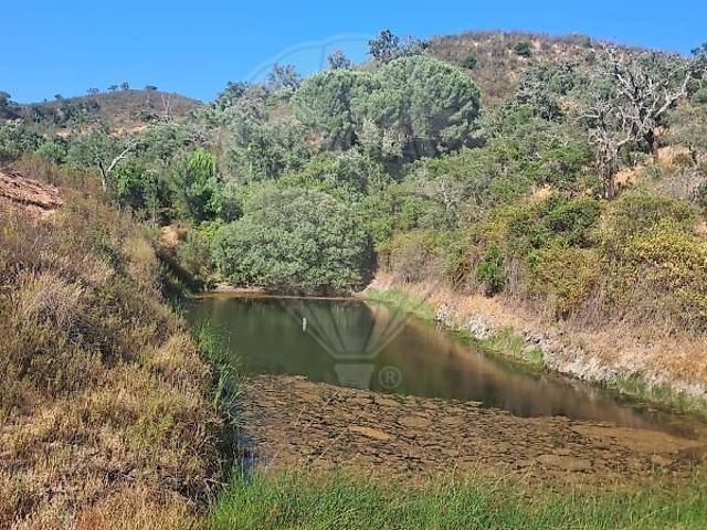 Terreno venda em Vale da Vila, São Marcos da Serra