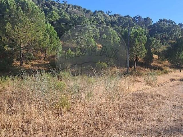 Terreno venda em Vale da Vila, São Marcos da Serra