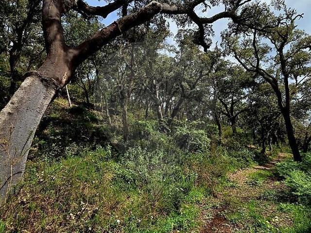 Terreno venda em Castanheiros, Odemira