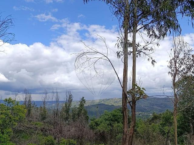 Terreno venda em São Martinho das Moitas e Covas do Rio, São Pedro do Sul