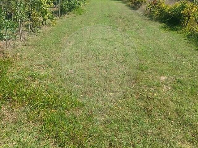 Terreno venda em São Martinho de Árvore e Lamarosa, Coimbra