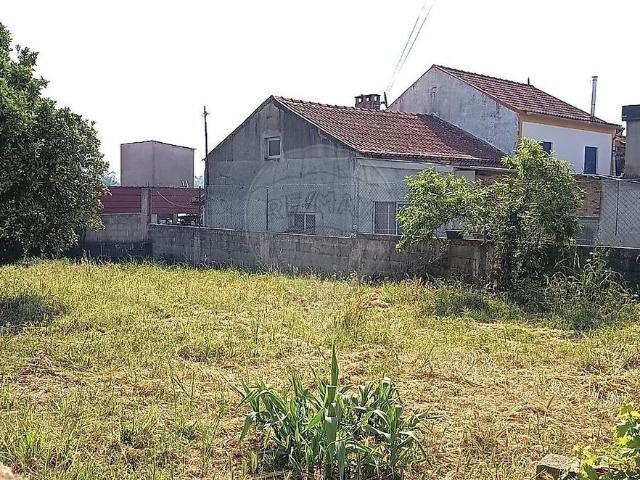 Terreno venda em São Martinho de Árvore e Lamarosa, Coimbra