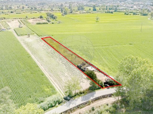 Terreno venda em São Martinho do Bispo e Ribeira de Frades, Coimbra