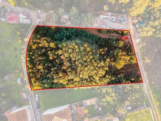 Terreno venda em São Martinho do Bispo e Ribeira de Frades, Coimbra