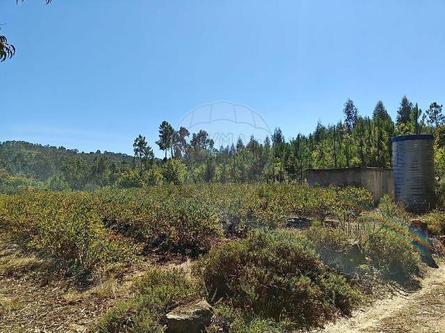 Terreno venda em São Miguel do Mato, Viseu