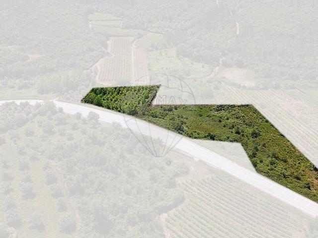 Terreno venda em Podentes, Penela
