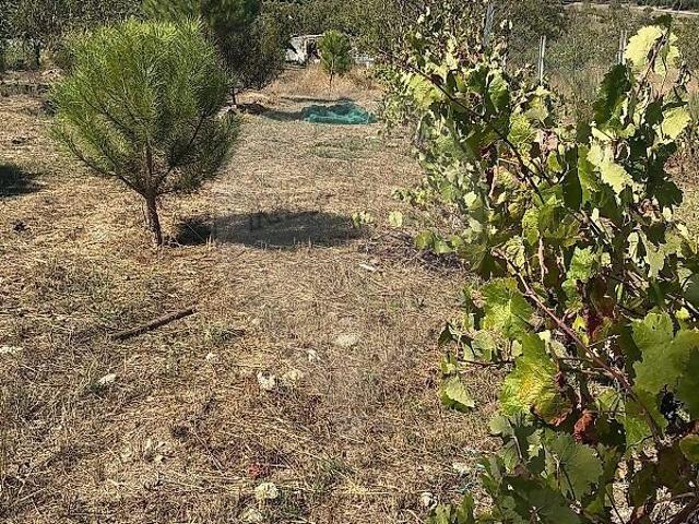 Terreno venda em São Paio, Gouveia