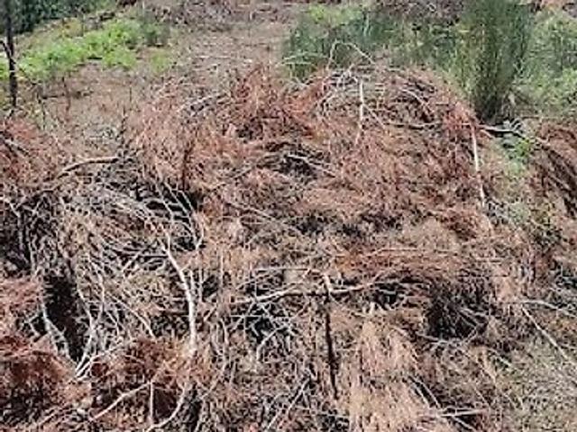 Terreno venda em Santos Evos, Viseu