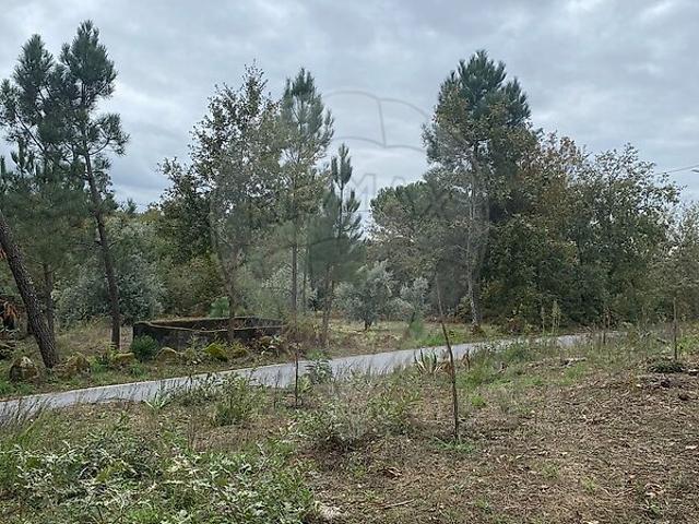 Terreno venda em São Pedro de France, Viseu