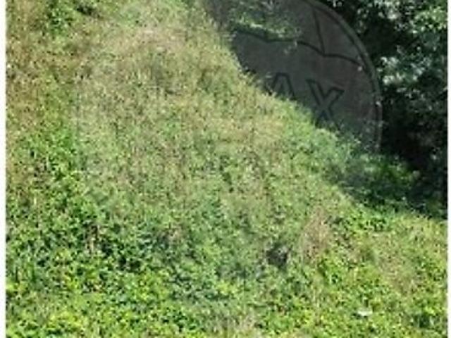 Terreno venda em São Pedro de France, Viseu