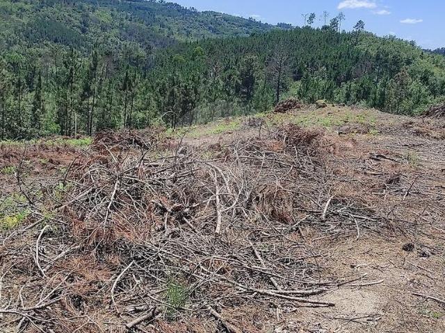 Terreno venda em Santos Evos, Viseu