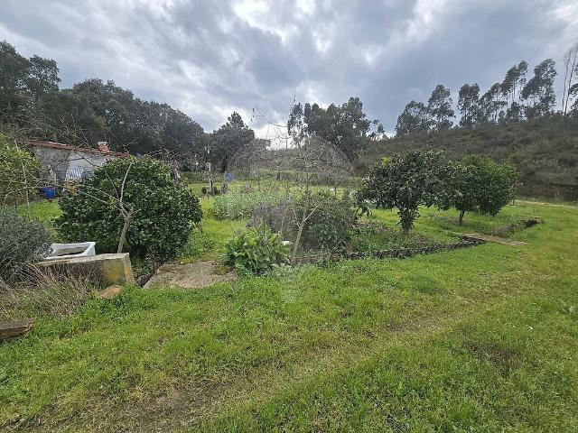 Terreno venda em São Pedro de Tomar, Tomar