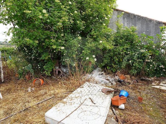 Terreno venda em São Pedro de Tomar, Tomar