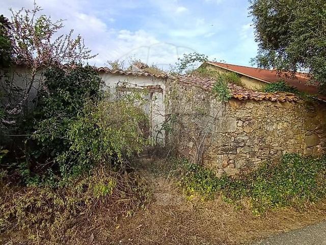 Terreno venda em São Pedro de Tomar, Tomar