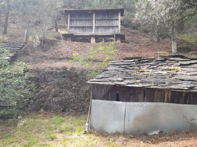 Terreno venda em São Pedro Do Sul, Viseu