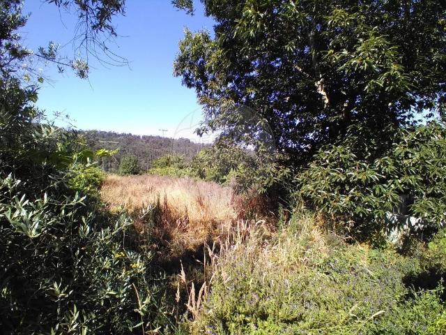 Terreno venda em São Pedro Do Sul, Viseu