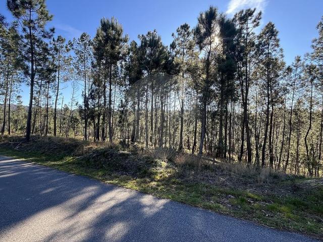 Terreno venda em Quinta Trás da Serra, São Pedro Do Sul